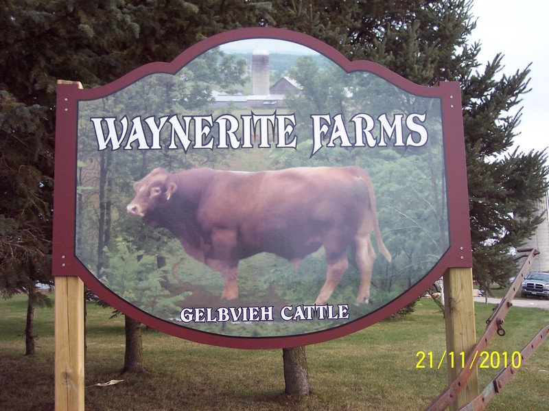 <b>Waynerite Farms</b>